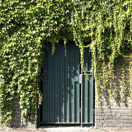 Door with ivy, SE1