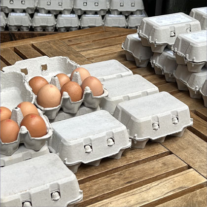 Eggs in Borough Market